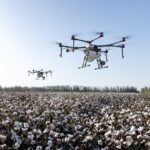 Revolutionäre Lichttechnik in der Landwirtschaft: Zukunftsweisender Einsatz von LEDs