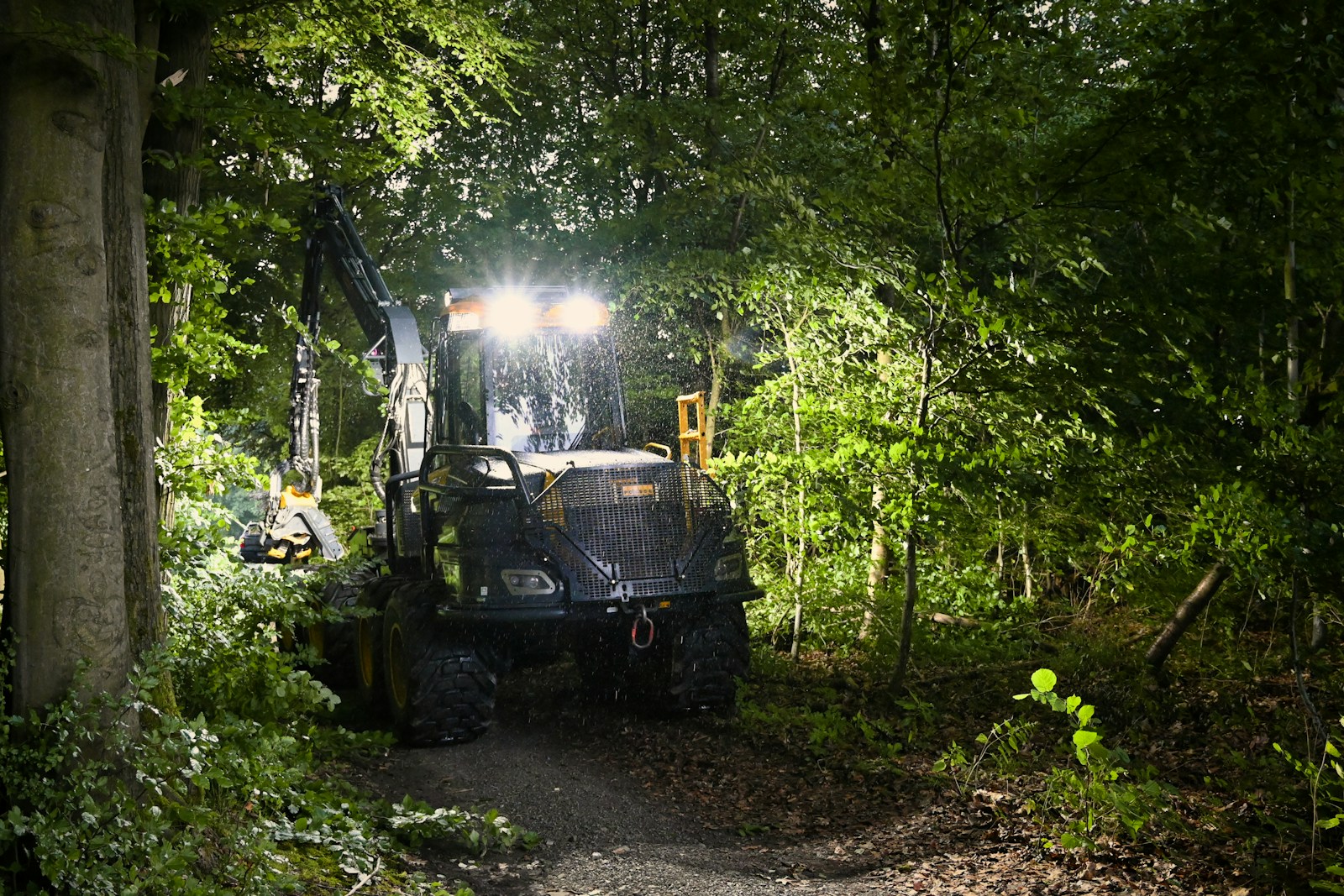 A machine is clearing a forest.