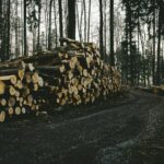 Fortschrittliche Technologie im Forstwesen: Präzisionsschneiden für Waldmaschinen