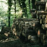 Innovationen für nachhaltige Forstmaschinen: Ein Blick auf die CNC-Technologie im Jahr 2026